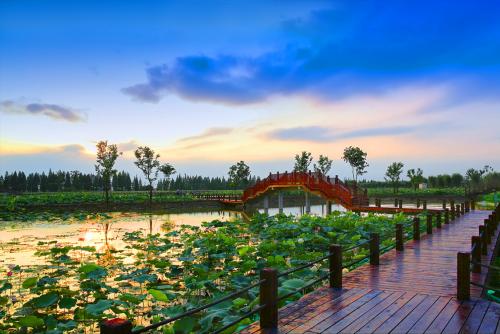 南京市高淳區(qū)國際慢城.固城湖生太景區(qū)